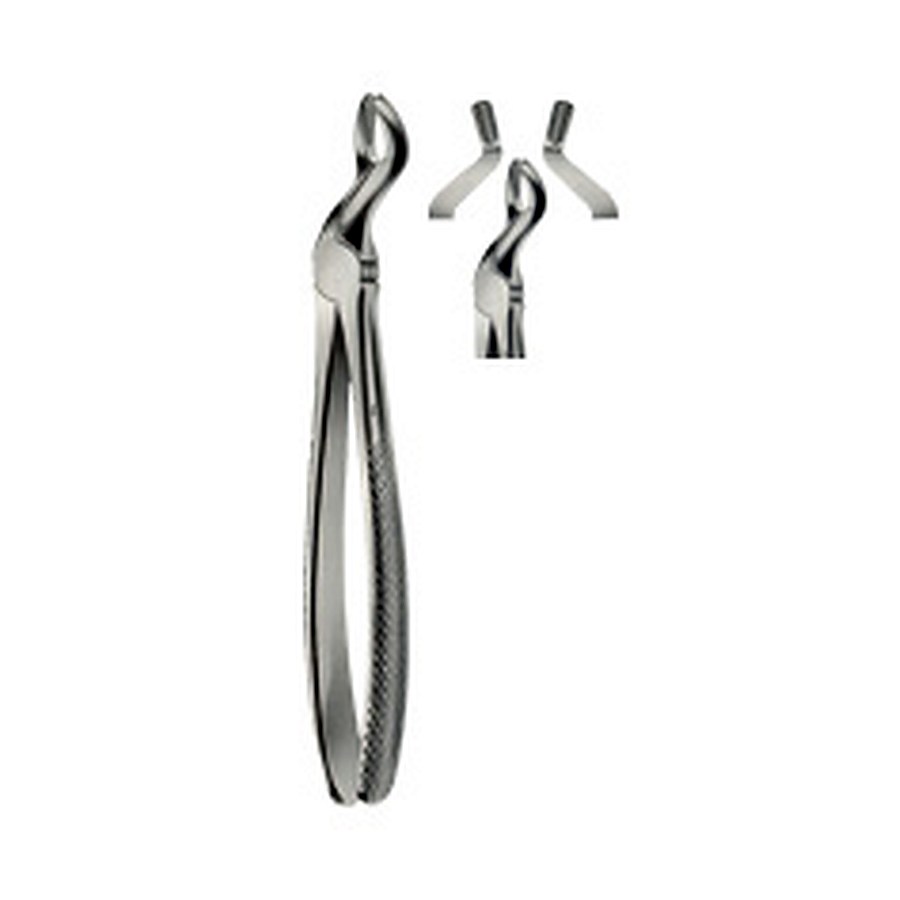 Tooth Forceps for upper Wisdom Teeth
