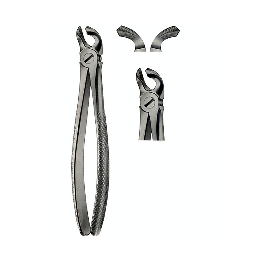 Tooth Forceps for Lower Molars & wisdom Teeth