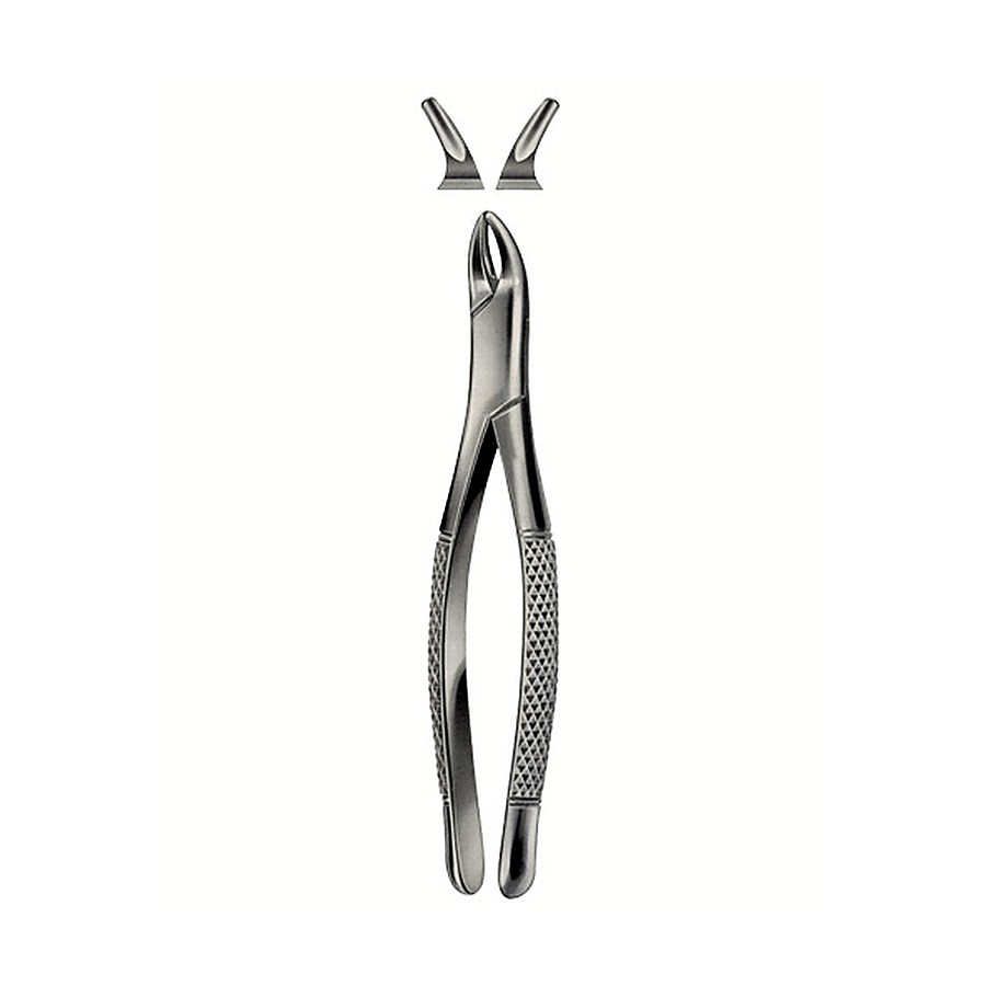 Tooth Forceps for Children, American Pattern