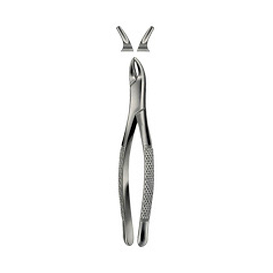 Tooth Forceps for Children, American Pattern