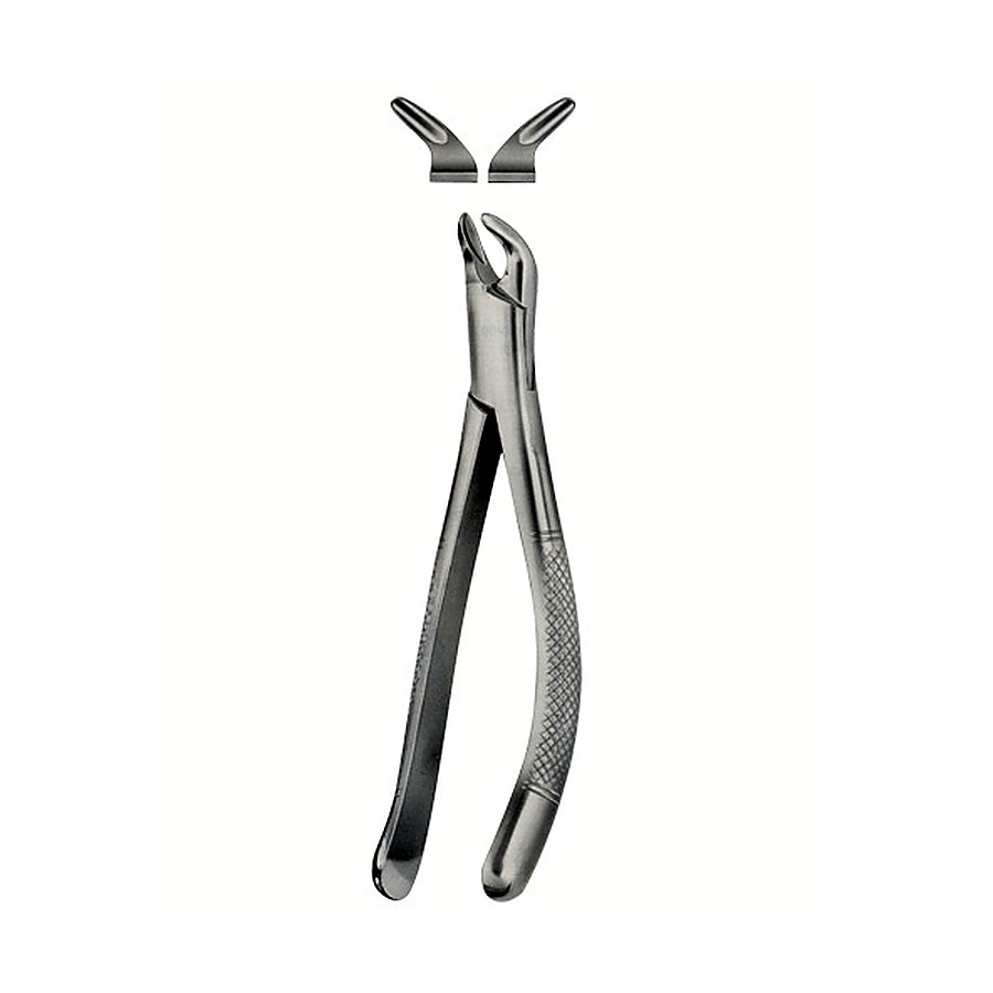 Tooth Forceps for Children, American Pattern