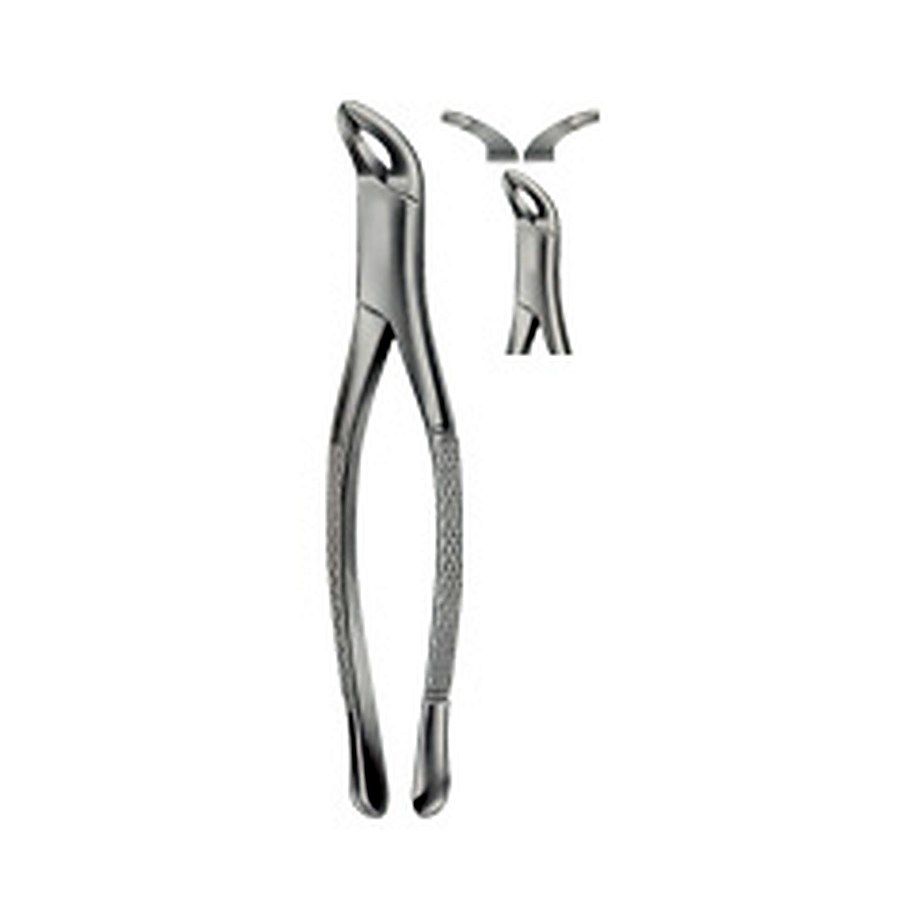 Tooth Forceps, American Pattern for Lower incisors ,Bicuspids Molars & roots