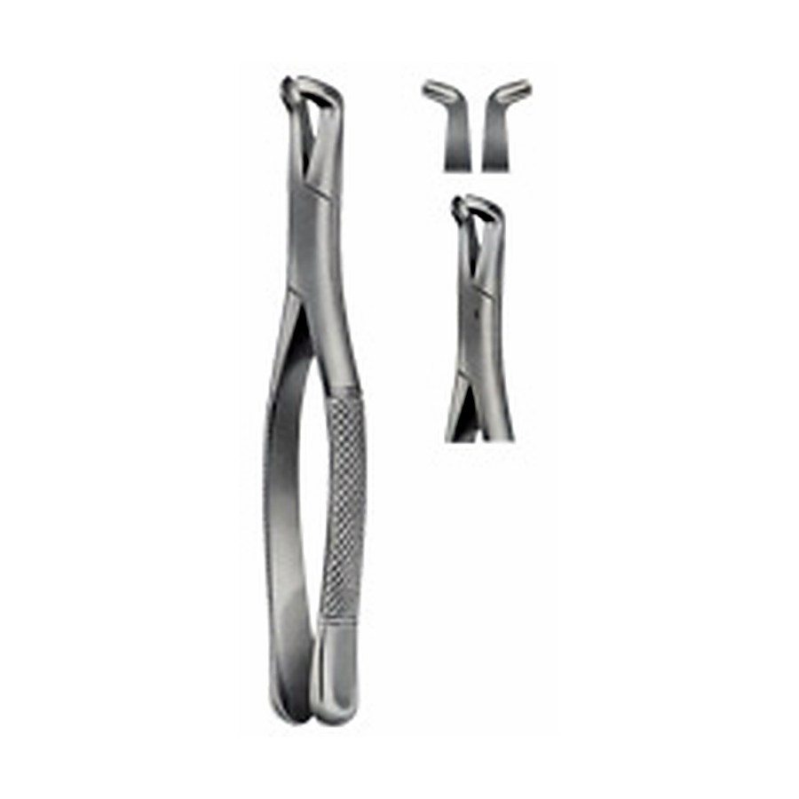 Tooth Forceps, for Lower Wisdom Teeth