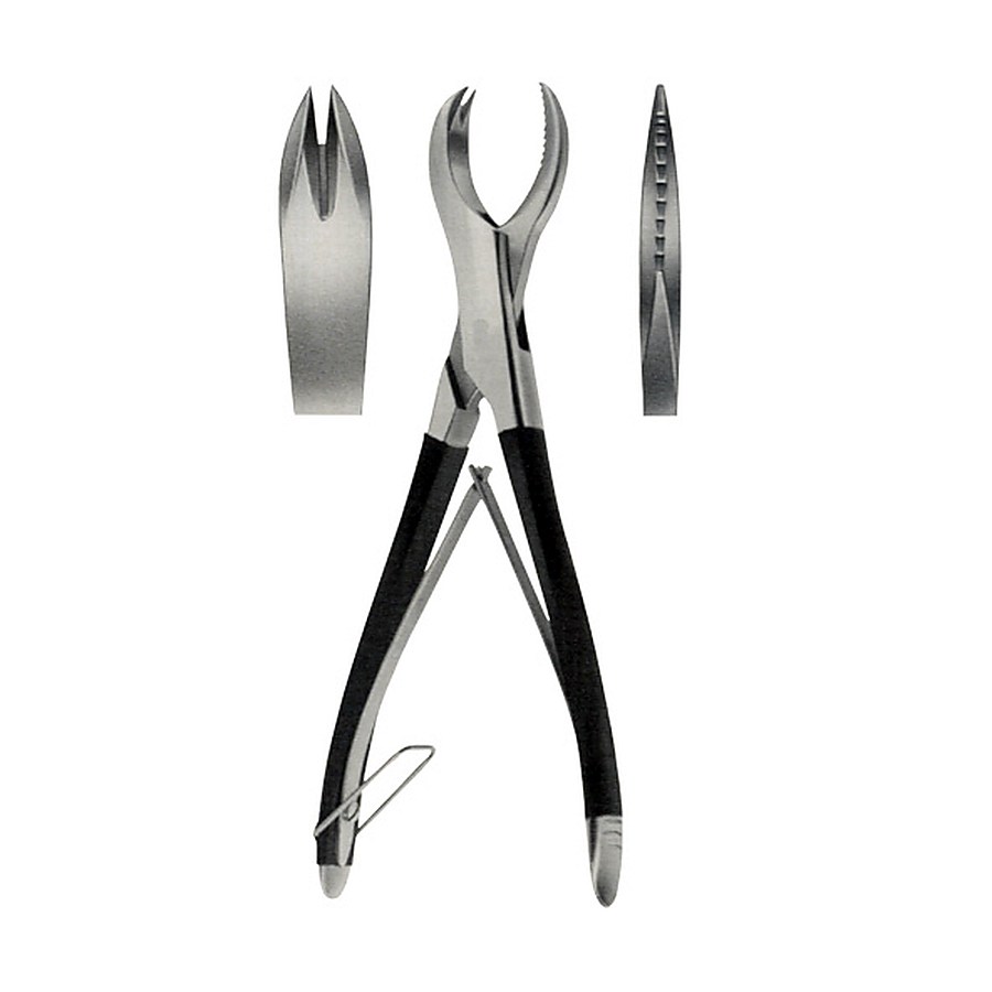 Plastic Scissor