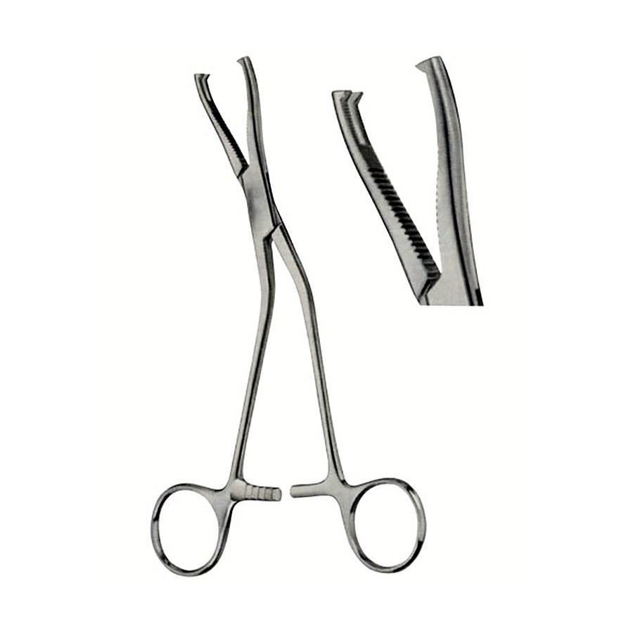 Bone Holding Forceps