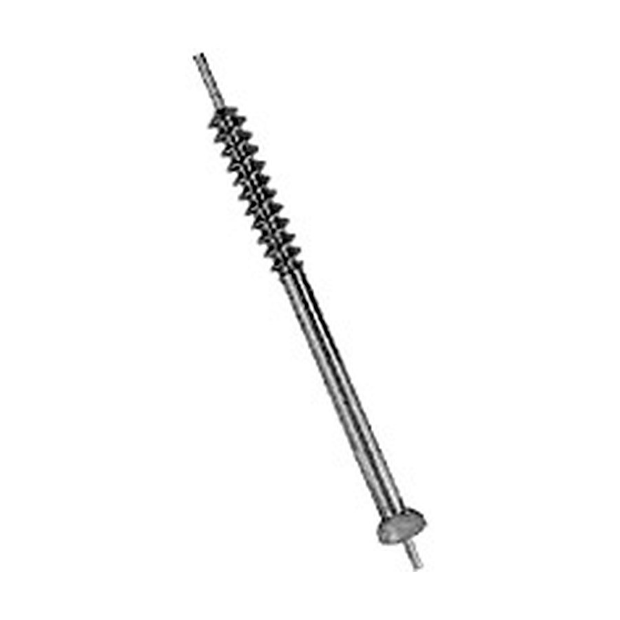 Cancellous Screw