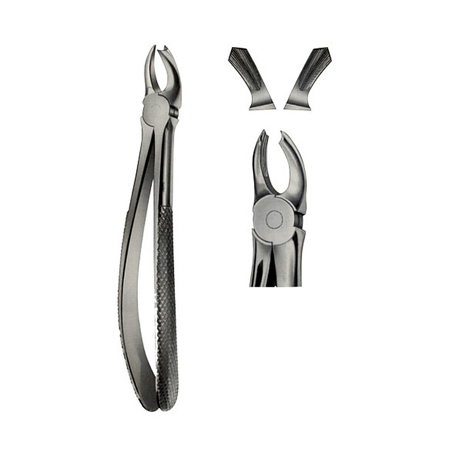 Tooth Forceps for upper Mullers