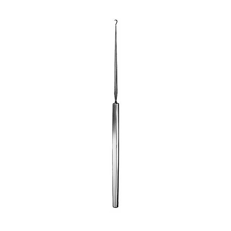 Ear Hooklet