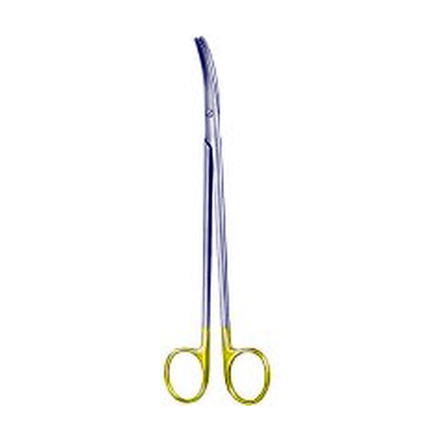Dissecting Scissors