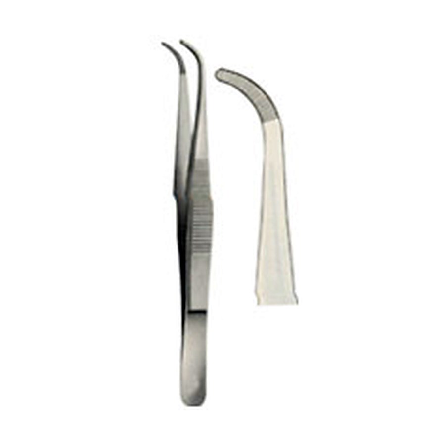 Dissecting Forceps